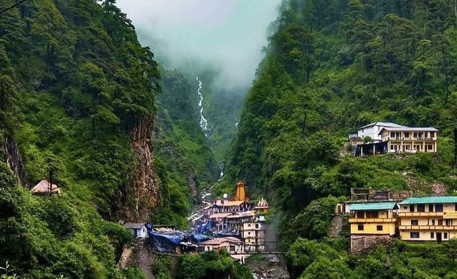 Himalayan View
